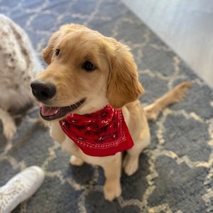 Meet your Posher, Kara